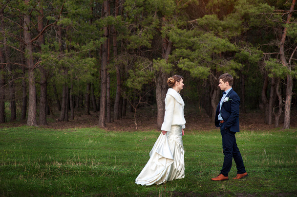 Счастливая невеста и жених ходить по краю соснового леса в й
 - Фото, изображение