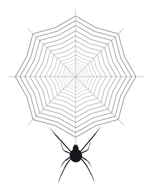 αράχνη και ιστός αράχνης - Διάνυσμα, εικόνα
