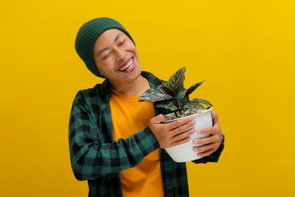 Homem asiático empolgado em um gorro e roupas casuais excitadamente mantém uma planta de sala Calathea (Calathea ornata) em um pote branco. Isolado sobre um fundo amarelo. - Foto, Imagem