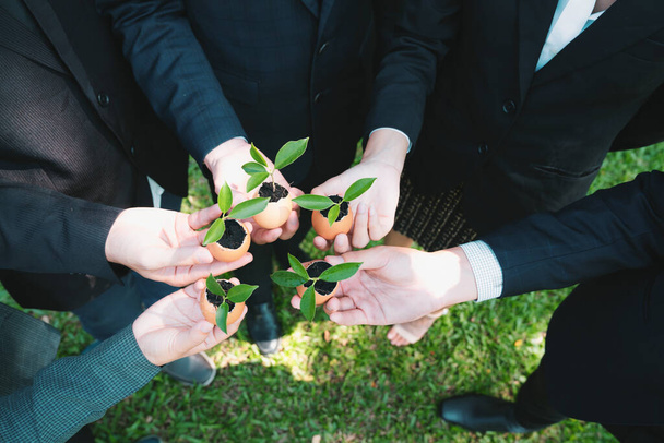 Group of business people holding repuposed eggshell transformed into fertilizer pot, symbolizing commitment to nurture and grow sprout or baby plant as part of a corporate reforestation project. Gyre - Photo, Image