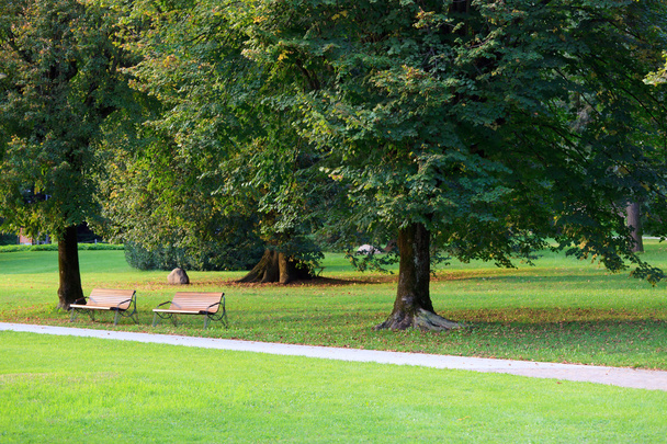 καταπράσινο πάρκο με παγκάκια Ιβο - Φωτογραφία, εικόνα