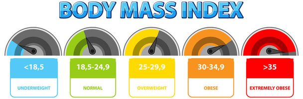 BMI reicht von Untergewicht bis extrem fettleibig - Vektor, Bild
