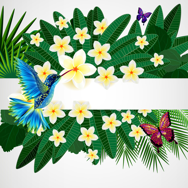 Tropical floral design background with bird, butterflies. - Vektor, kép