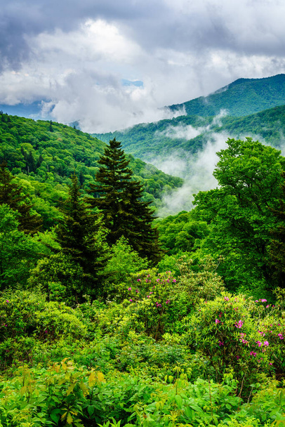 Scenic view of the Smokie Mountains from Blue Ridge Parkway near Maggie Valley, North Carolina - Photo, Image