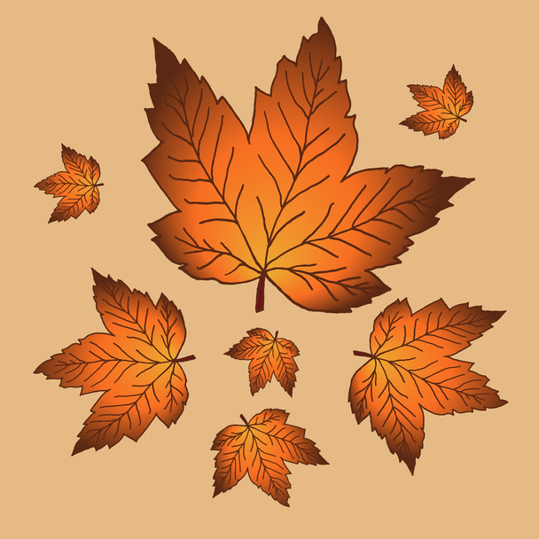 orange leaves fall vector - Vector, Image