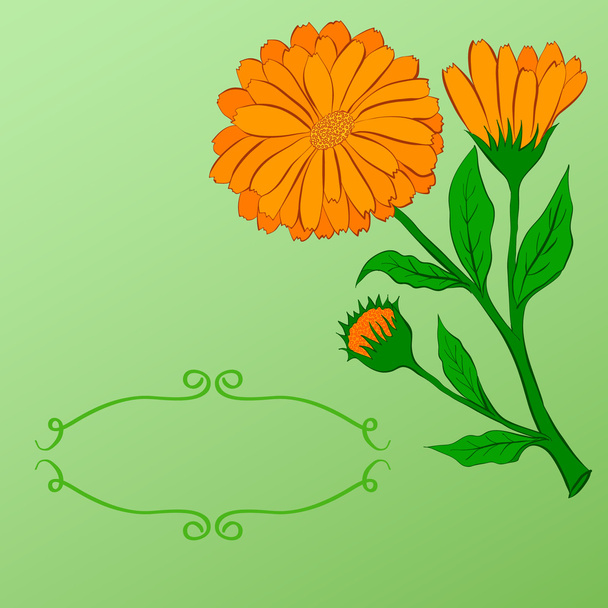 hand-tekening floral achtergrond - Vector, afbeelding