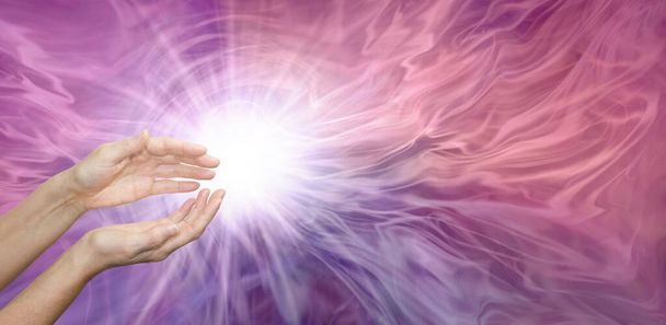 Promieniowanie Reiki energii gojenia serca - Kobieta miseczki ręce z jasnym białym świetle gwiazd na wyciągnięcie ręki przed pięknym eterycznym różowym fioletowym chrupiące tło i przestrzeń skopiować  - Zdjęcie, obraz