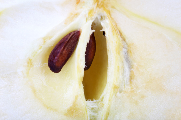 Slice of apple close up - Foto, imagen