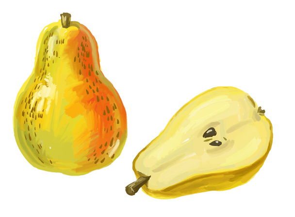 picture of pear - ベクター画像