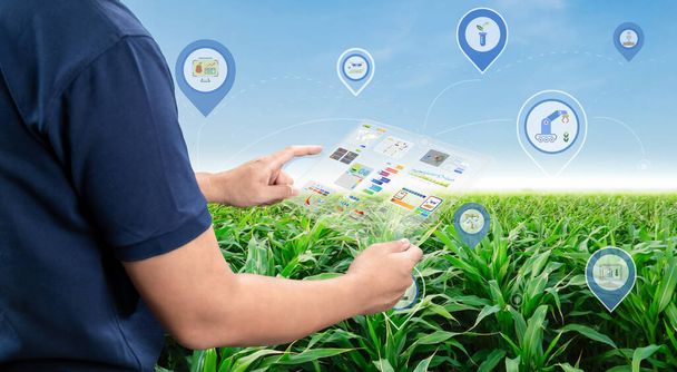 Maatalouden teknologian käsite maatalousinsinööri tai maanviljelijä työskentelee tabletin kanssa maatilalla - Valokuva, kuva