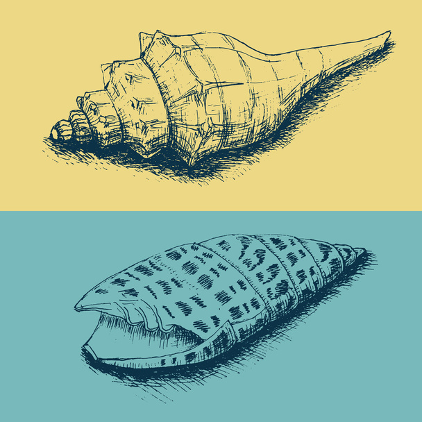 Set of hand-drawn sea shells - Vektör, Görsel