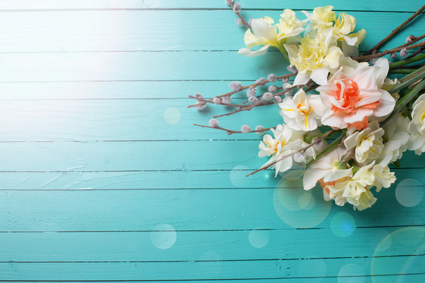 Background with fresh daffodils and willow flowers - Valokuva, kuva