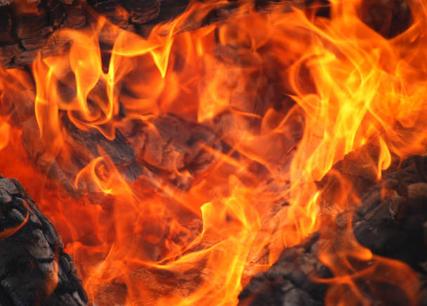 деревини вогонь
  - Фото, зображення