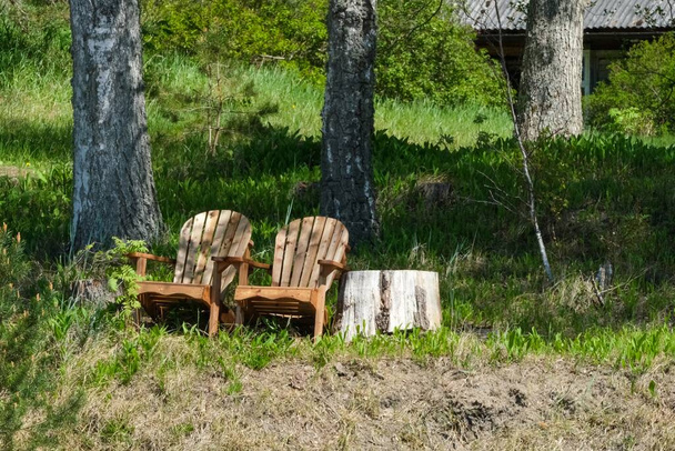 Δύο ξύλινες καρέκλες τοποθετημένες σε ένα γαλήνιο ξέφωτο δάσους με πλούσια βλάστηση και κούτσουρα δέντρων, ιδανικές για χαλάρωση και εκτίμηση της φύσης. - Φωτογραφία, εικόνα