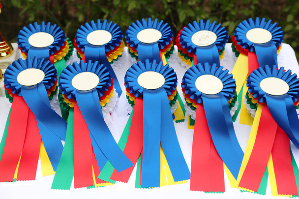 Csodálatos lovas díjak és díjak a szabadtéri lovas rendezvény résztvevőinek nyáron a szabadban - Fotó, kép