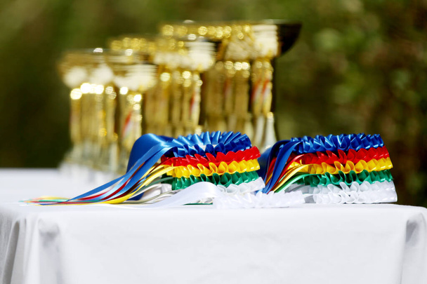 Ihana hevosurheilun palkintoja ja palkintoja osallistujille ulkona hevosurheilun tapahtuma kesällä ulkona - Valokuva, kuva