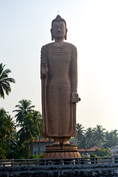 Buddha  - Zdjęcie, obraz