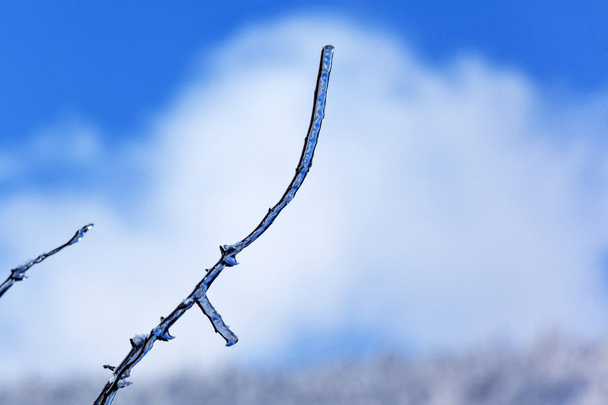 Hora Rtanj v zimě 10 - Fotografie, Obrázek