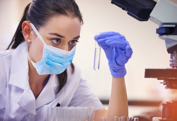 Sıvı, kadın ve bilim adamı araştırma, deney ya da test için laboratuarda test tüpleri var. Araştırma, ilaç ve bilim teknisyeni tıbbi çalışma için kimyasal sıvıyla çalışıyor. - Fotoğraf, Görsel