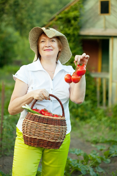 Mature woman with harvested tomatoes - Fotoğraf, Görsel