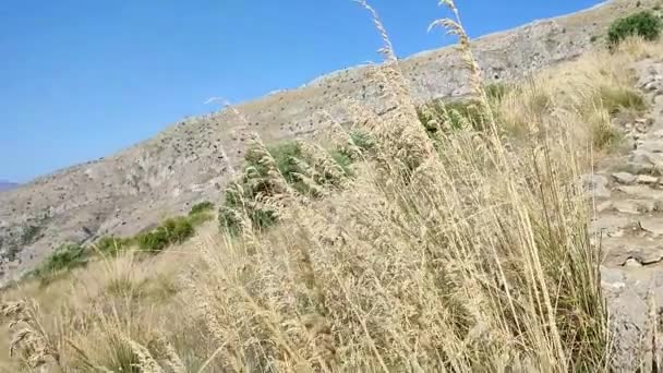 Масса Любренс - 6 вересня 2023 року: Панорама з шляху, що з маленького села Нерано досягає затоки Ієранто - Кадри, відео