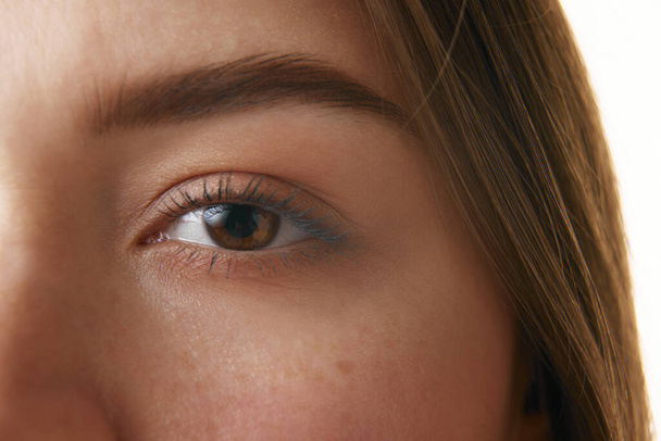 Крупним планом фото жіночого ока, що виділяє чітко визначену брову, довгі вії та гладку шкіру. Поняття краси, макіяжу, натуральної косметики, фасаду, охорони здоров'я. Реклама - Фото, зображення