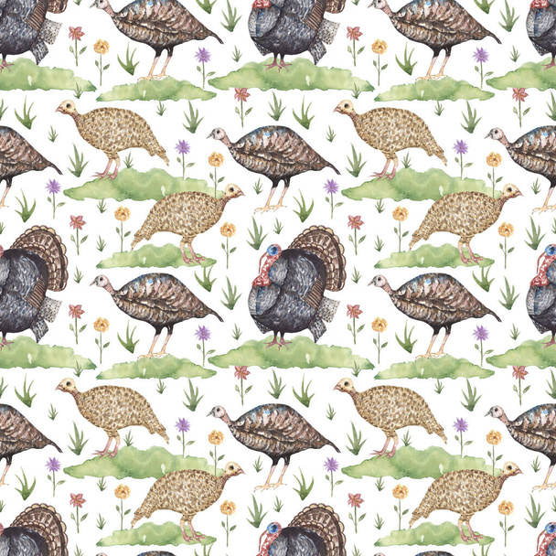Watercolor turkey bird seamless pattern, wild life life cycle repeat paper, animals textile background - Фото, изображение
