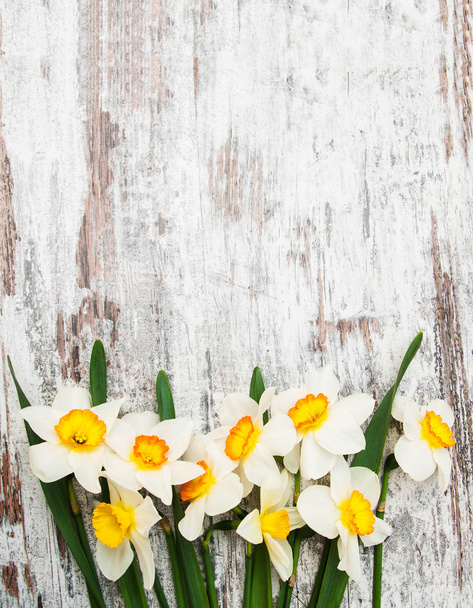 Daffodils on a wooden background - Foto, Imagen