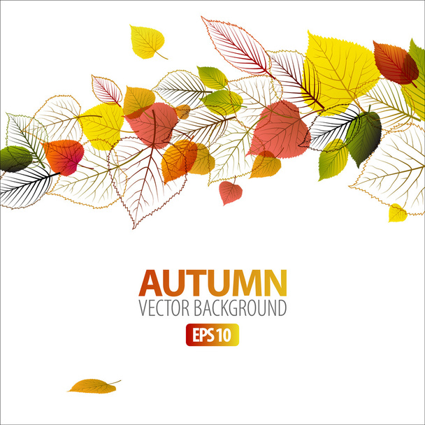 Vector Autumn abstract floral background - Vector, Image