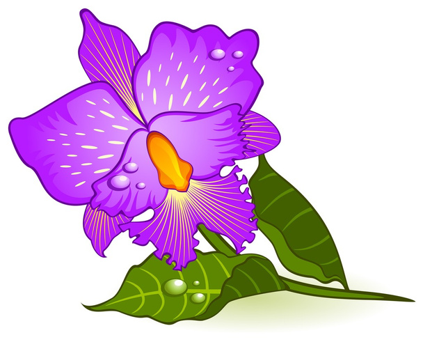 Background with beautiful orchids - Vecteur, image