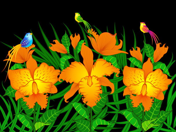 Hintergrund mit schönen Orchideen - Vektor, Bild