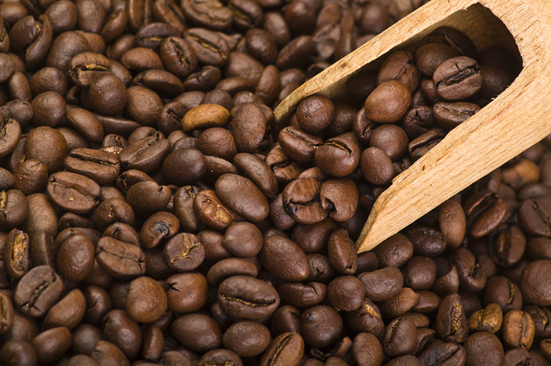 Coffe beans - Фото, зображення