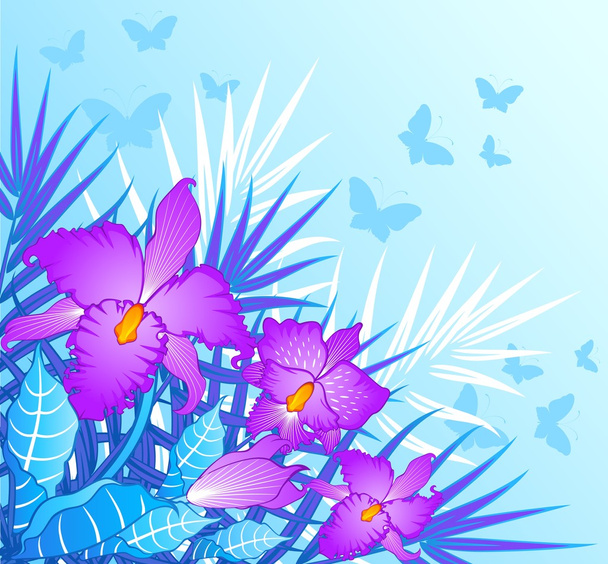 Hintergrund mit schönen Orchideen - Vektor, Bild