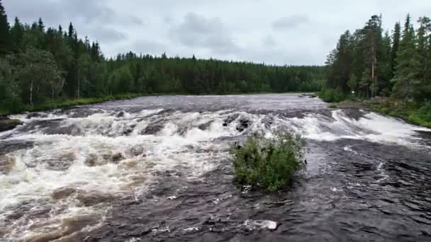 Scatto statico, vista ad angolo basso sulle rapide klingforsen del fiume Storan che scorre energicamente attraverso una lussureggiante foresta a Idre Dalarna Svezia durante il giorno con cielo nuvoloso e lunatico  - Filmati, video
