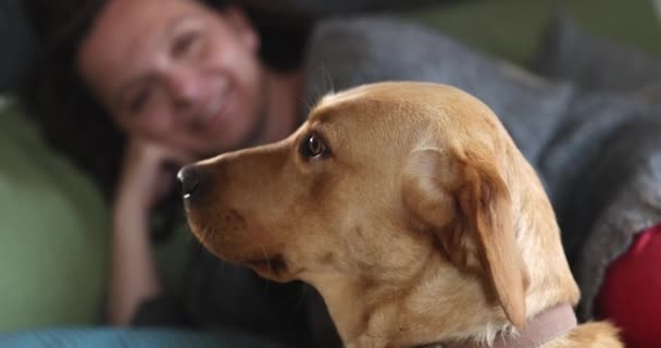 Een vrouw is thuis, glimlachend, en geniet van een gezellige sfeer met haar hond in de buurt, die warmte en tevredenheid uitstraalt - Video