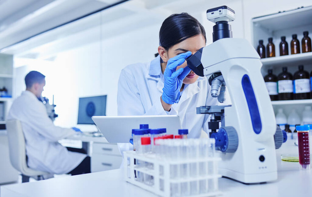 Mikroskop, vědec a výzkum v laboratoři se studiem patologie, očkovacích testů a lékařských inovací. Žena, tableta a výzkum biotechnologií pro kmenové buňky, vědu a vývoj. - Fotografie, Obrázek
