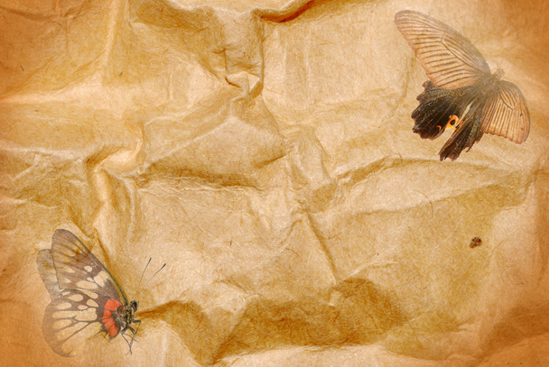Butterfly paper abstract background - Photo, Image