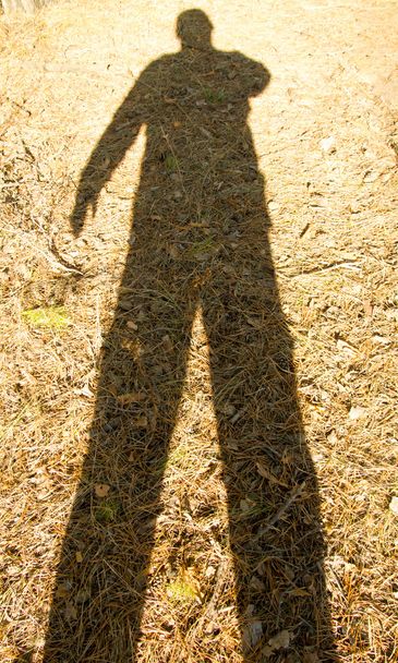 Schatten eines Mannes auf dem Boden im Wald - Foto, Bild