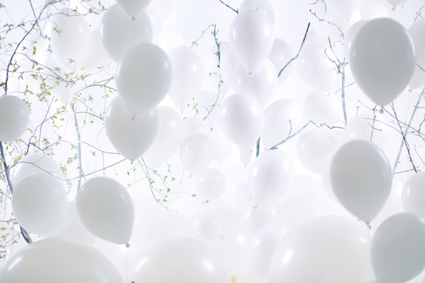 Photo art white ballon background - Photo, image