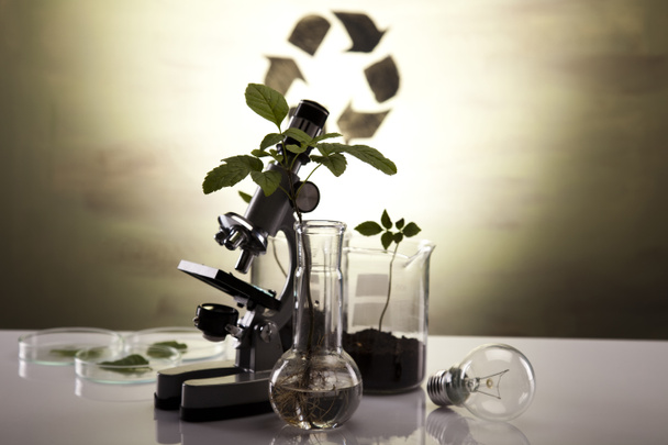Chemical laboratory glassware equipment, ecology - Photo, Image