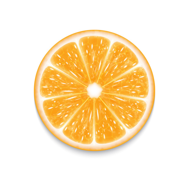 Oranje segment - Vector, afbeelding