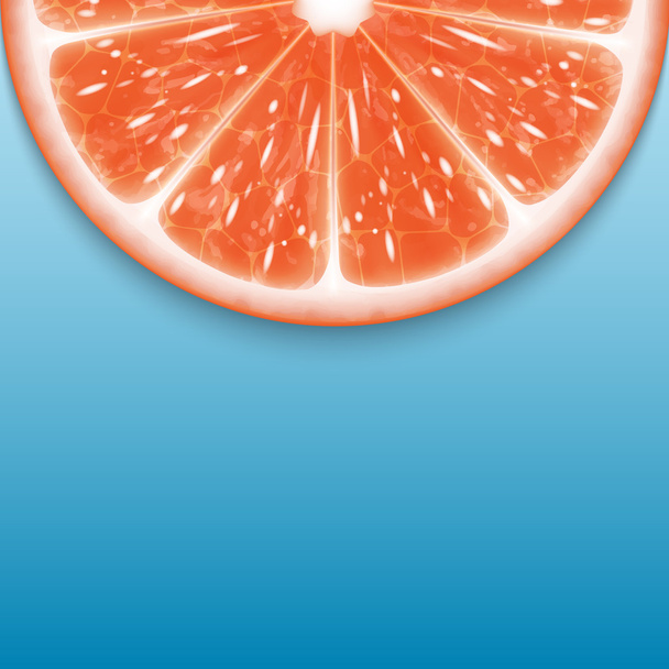 Grapefruitscheibe - Vektor, Bild