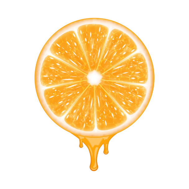 Orange slice - Vector, afbeelding