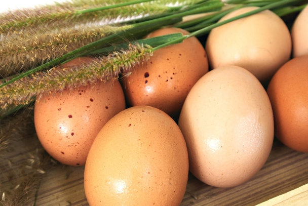 Eier in Holzkiste mit Gras - Foto, Bild