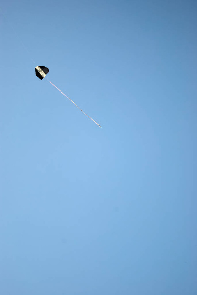 Domácí draci létají po modré obloze - Fotografie, Obrázek