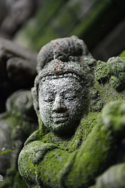 Сад і Будда теракота
 - Фото, зображення