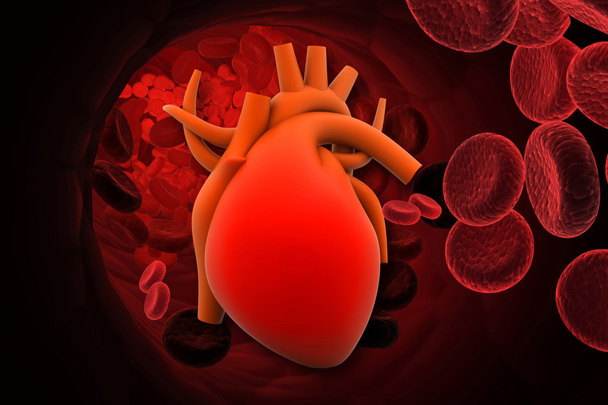 Heart with red cells - Fotoğraf, Görsel