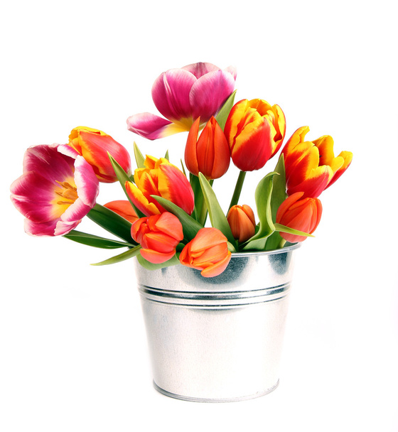 Bouquet of tulips - Foto, Imagen