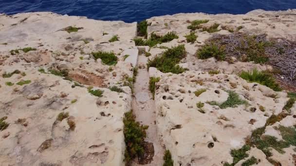 Mavi Akdeniz ve Malta adasının kayalık kıyıları ve Filfla 'da ıssız bir ada. Yüksek kalite 4k görüntü - Video, Çekim