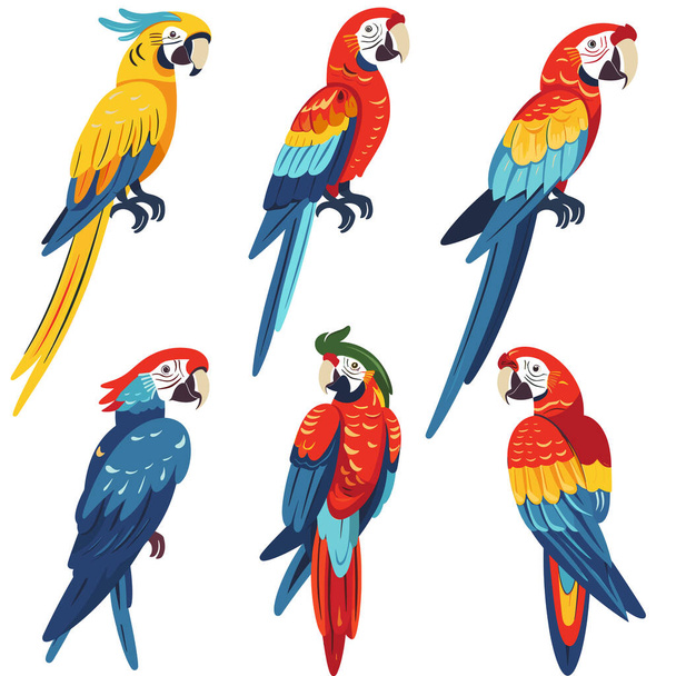Šest barevných papoušků ilustrovalo různé pózy, pulzující peří, exotické ptáky. Tropická zvěř, sbírka papoušků, světlé peří, zobák, drápy, izolované bílé pozadí. Kreslený styl macaws - Vektor, obrázek
